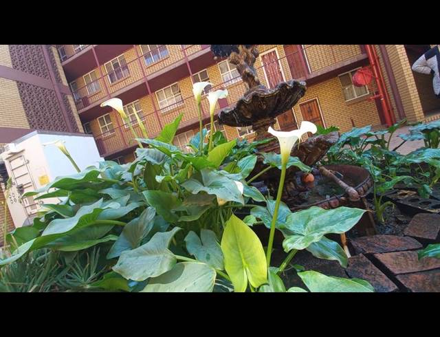 2 BEDROOM APARTMENT FOR SALE IN PRETORIA GARDENS